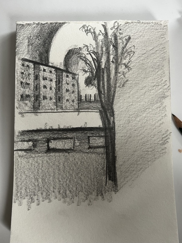 Drzewo nad ulicą z kamienicami, ołówek